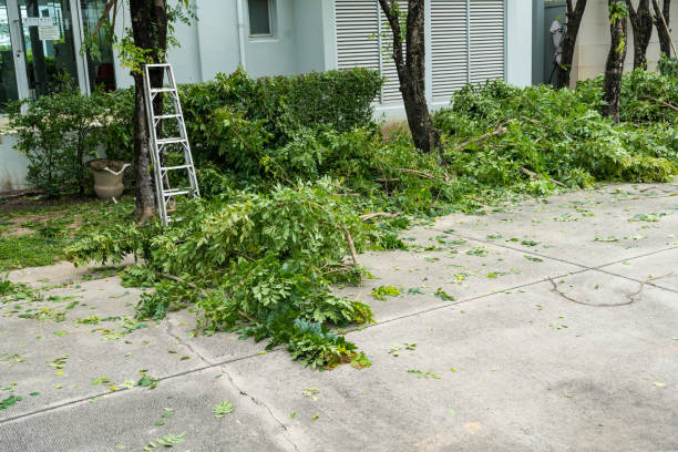 Mulching Services in Kalona, IA